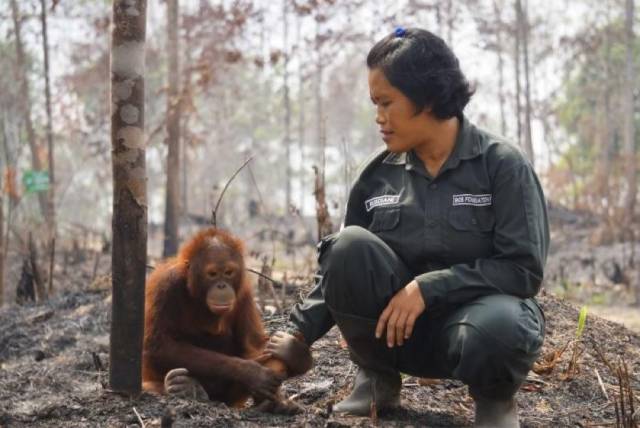 daily picdump 97 pics 42.html - 97 HD Photos | Premium Gallery 2018