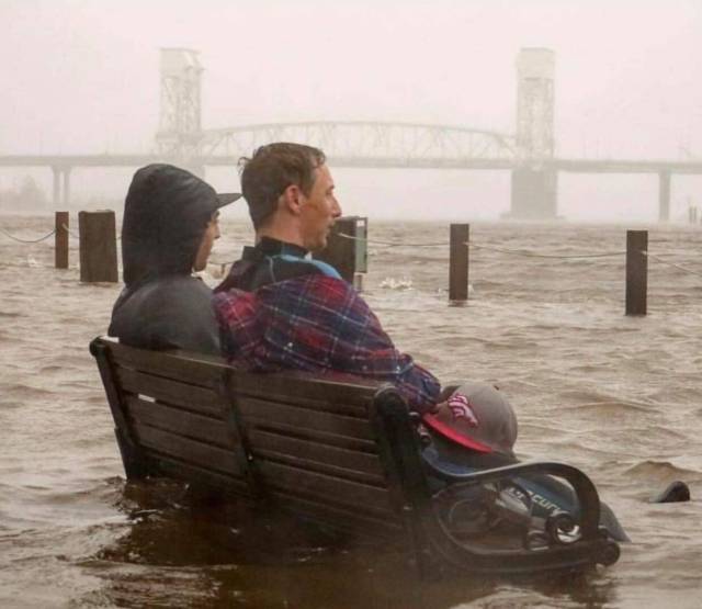 daily picdump 97 pics 42.html - 97 HD Photos | Premium Gallery 2018