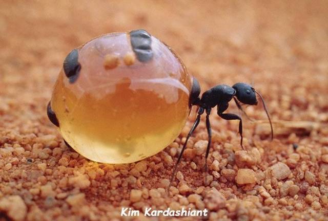 daily picdump 97 pics 42.html - 97 HD Photos | Premium Gallery 2018