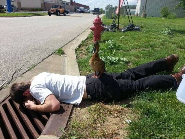 daily picdump 97 pics 42.html - 97 HD Photos | Premium Gallery 2018