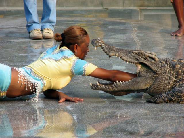 daily picdump 97 pics 42.html - 97 HD Photos | Premium Gallery 2018