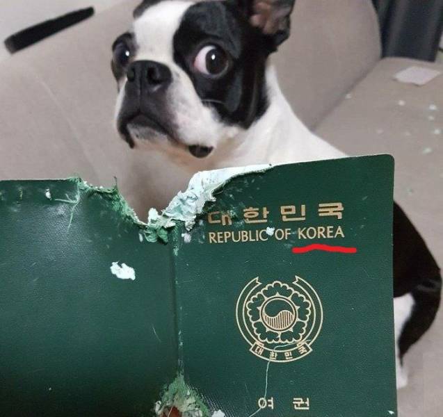 daily picdump 97 pics 42.html - 97 HD Photos | Premium Gallery 2018