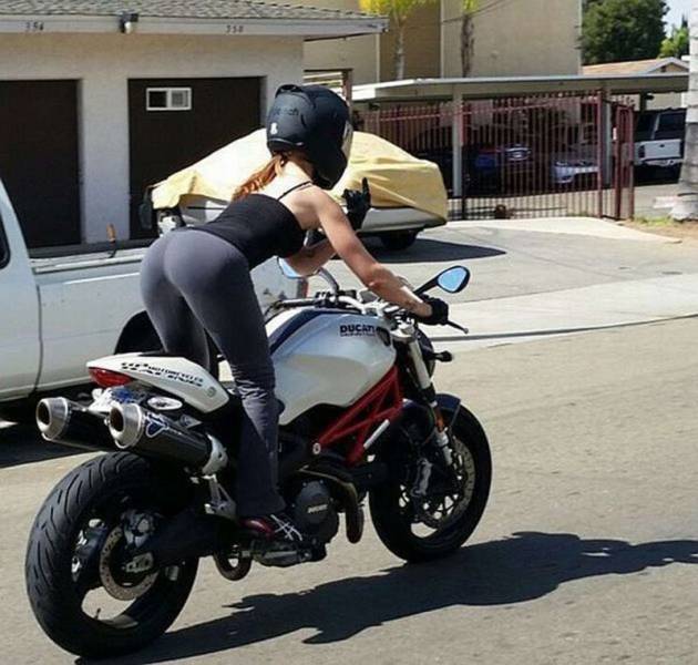 daily picdump 97 pics 42.html - 97 HD Photos | Premium Gallery 2018