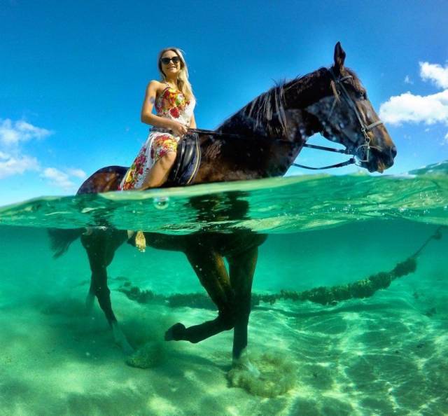 daily picdump 97 pics 42.html - 97 HD Photos | Premium Gallery 2018