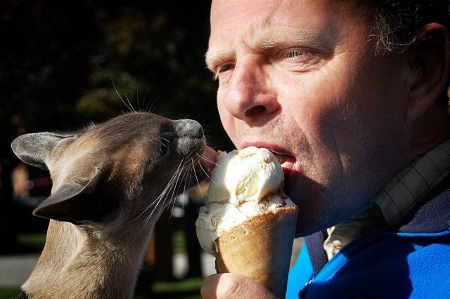 daily picdump 97 pics 42.html - 97 HD Photos | Premium Gallery 2018