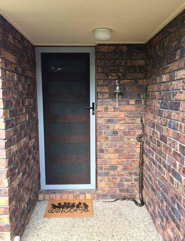 daily picdump 97 pics 42.html - 97 HD Photos | Premium Gallery 2018