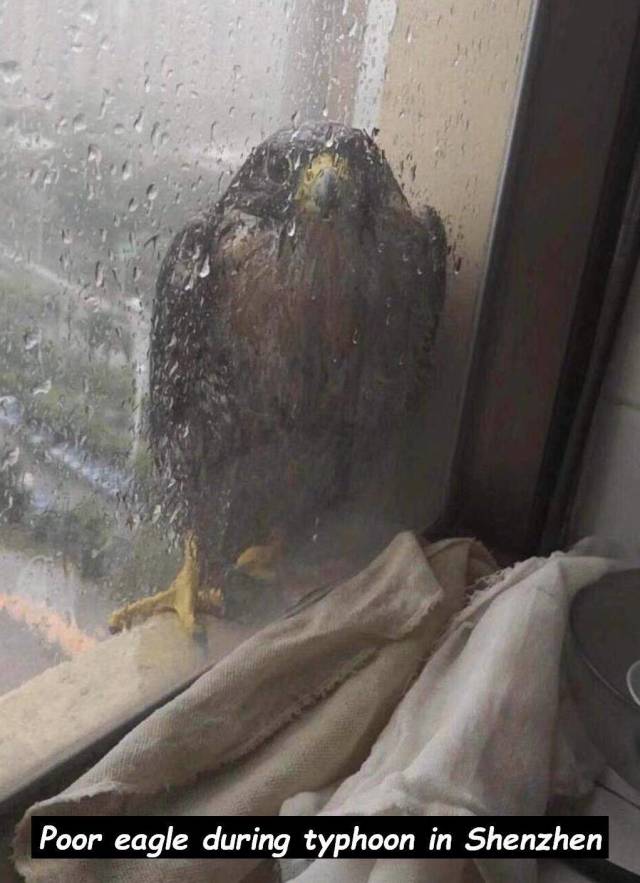 daily picdump 97 pics 42.html - 97 HD Photos | Premium Gallery 2018