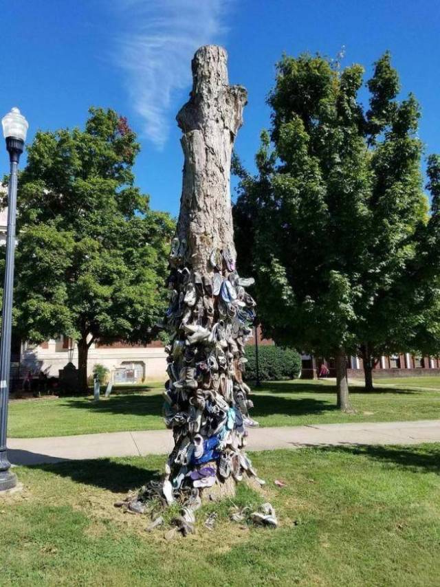 daily picdump 97 pics 42.html - 97 HD Photos | Premium Gallery 2018