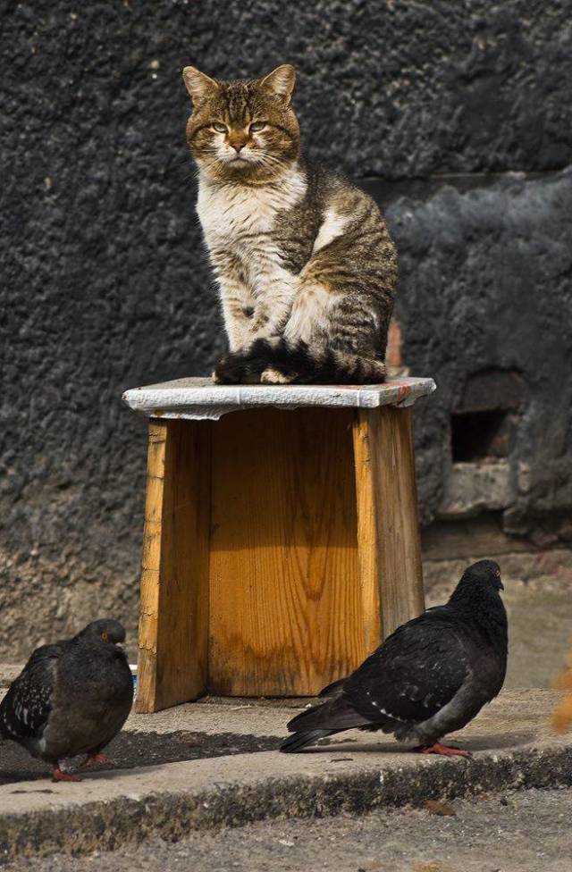 daily picdump 97 pics 42.html - 97 HD Photos | Premium Gallery 2018