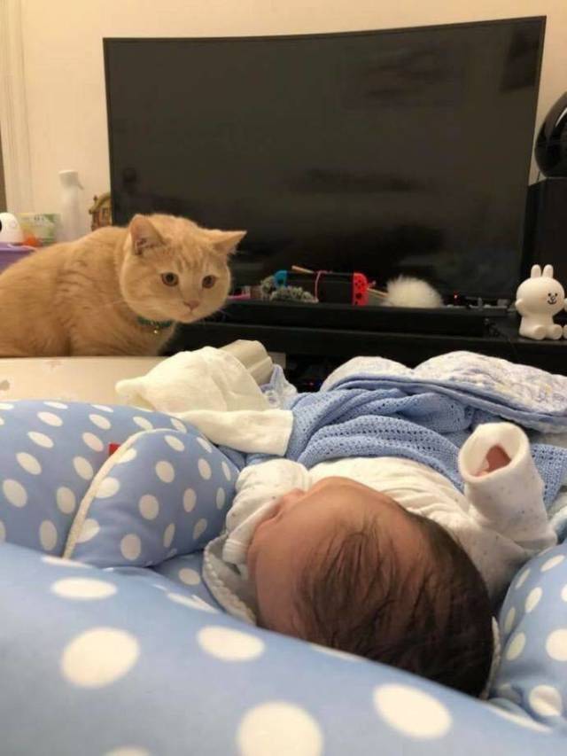 daily picdump 97 pics 42.html - 97 HD Photos | Premium Gallery 2018