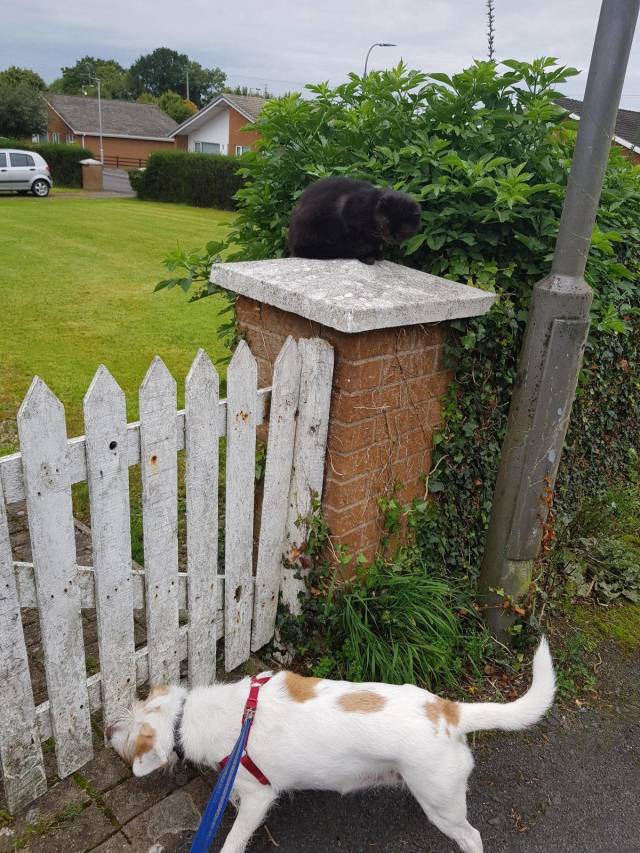 daily picdump 97 pics 42.html - 97 HD Photos | Premium Gallery 2018