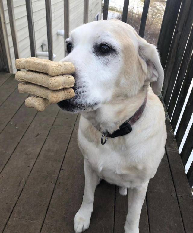 daily picdump 97 pics 42.html - 97 HD Photos | Premium Gallery 2018