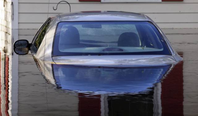 daily picdump 99 pics 42.html - 99 HD Photos | Premium Gallery 2018