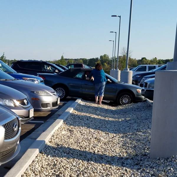 daily picdump 99 pics 42.html - 99 HD Photos | Premium Gallery 2018