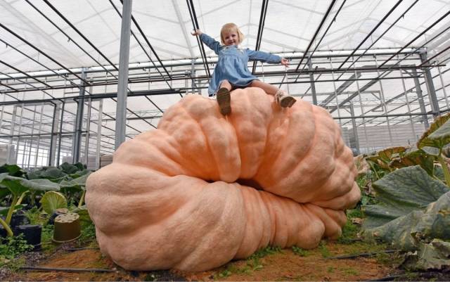 daily picdump 99 pics 42.html - 99 HD Photos | Premium Gallery 2018