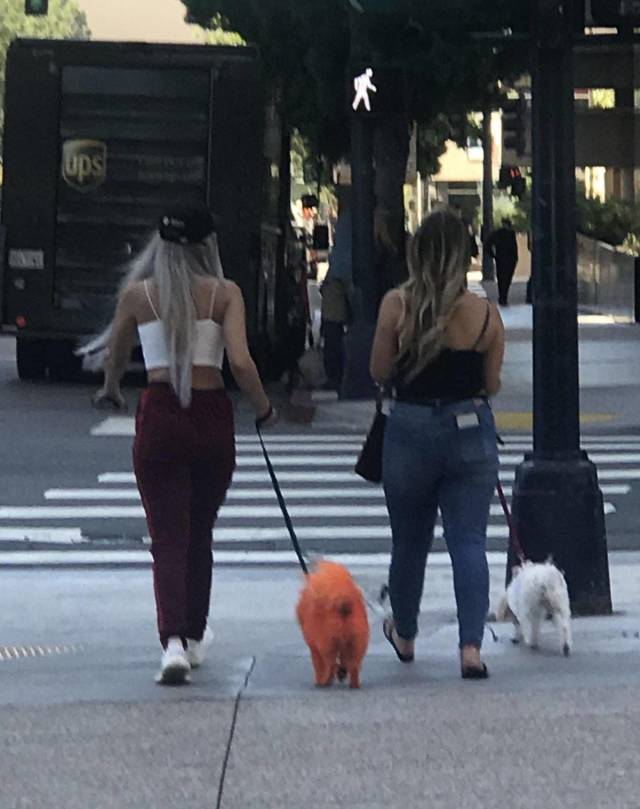 daily picdump 99 pics 42.html - 99 HD Photos | Premium Gallery 2018