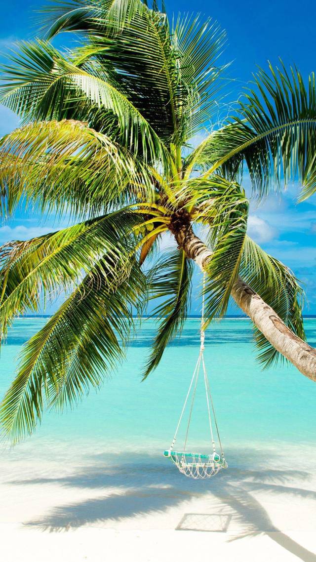 daily picdump 99 pics 42.html - 99 HD Photos | Premium Gallery 2018