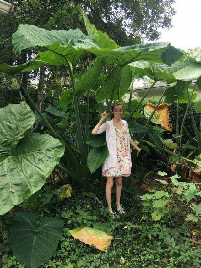 daily picdump 99 pics 42.html - 99 HD Photos | Premium Gallery 2018