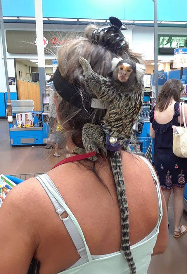 daily picdump 99 pics 42.html - 99 HD Photos | Premium Gallery 2018