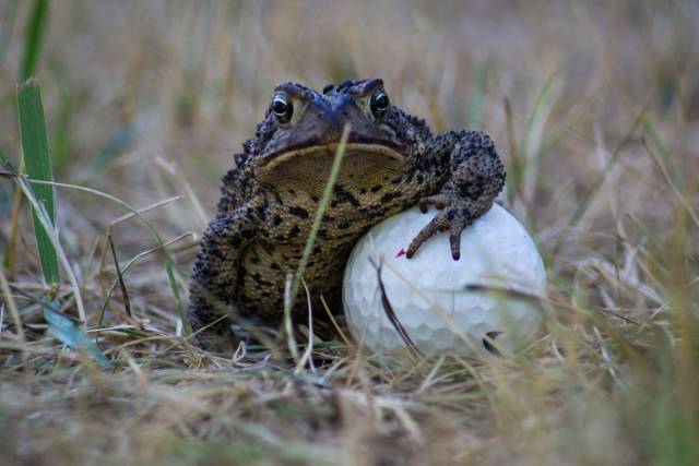 daily picdump 92 pics 38.html - 92 HD Photos | Premium Gallery 2018