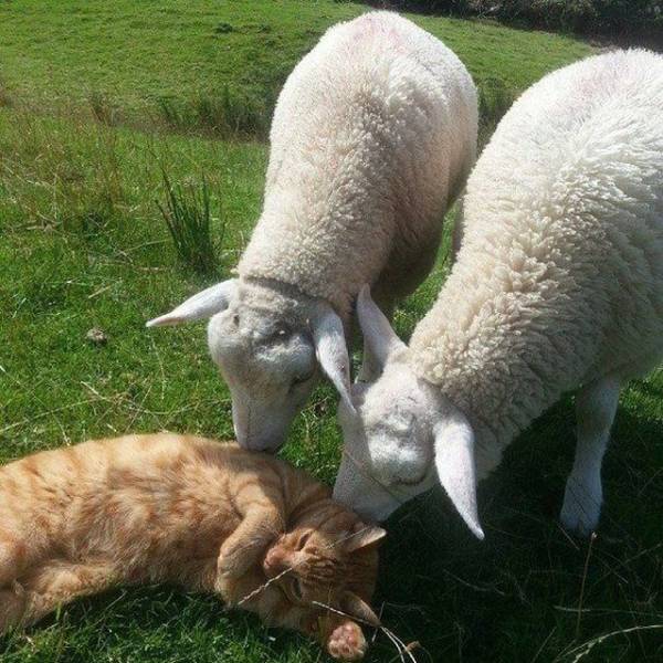 daily picdump 92 pics 38.html - 92 HD Photos | Premium Gallery 2018
