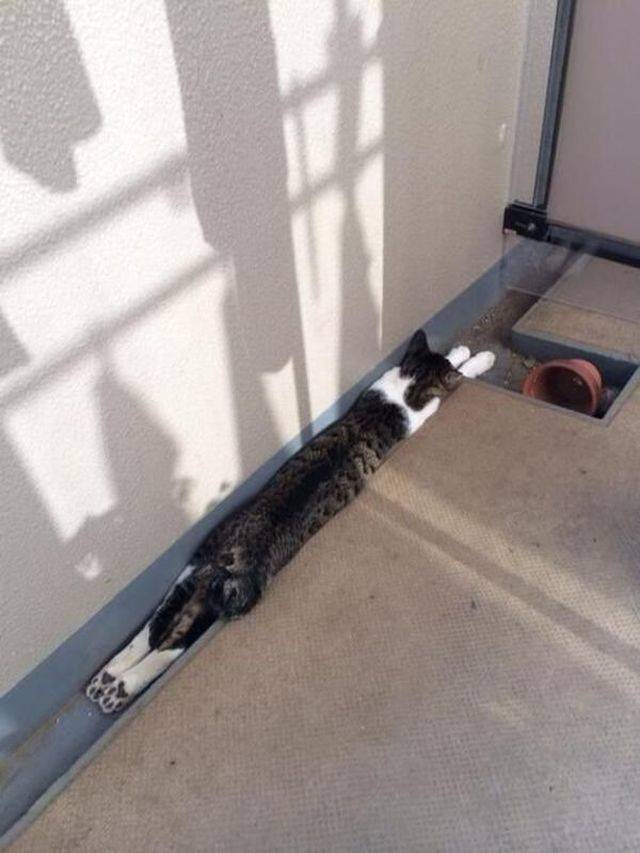 daily picdump 92 pics 38.html - 92 HD Photos | Premium Gallery 2018