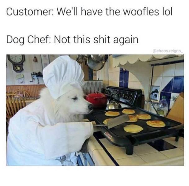funny picdump 54 pics 9.html - 54 HD Photos | Premium Gallery 2018