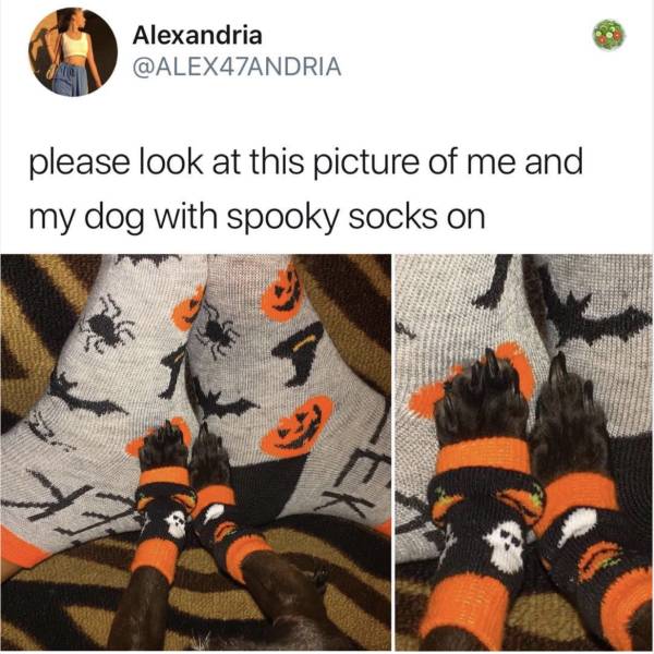 funny picdump 54 pics 9.html - 54 HD Photos | Premium Gallery 2018