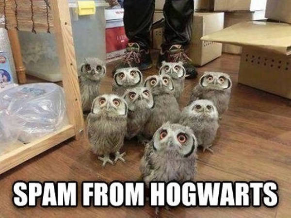 funny picdump 54 pics 9.html - 54 HD Photos | Premium Gallery 2018