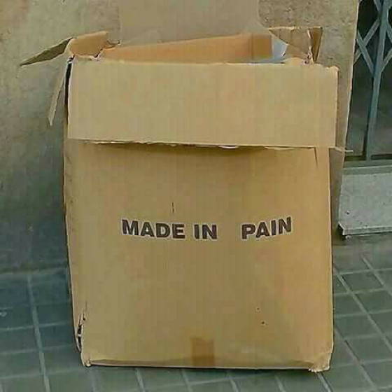 funny picdump 54 pics 9.html - 54 HD Photos | Premium Gallery 2018