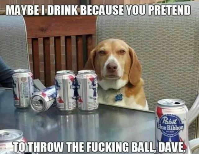 funny picdump 54 pics 9.html - 54 HD Photos | Premium Gallery 2018