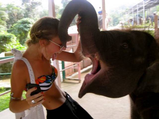 Girls Just Wanna Have Fun