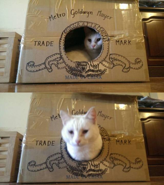 morning picdump 50 pics 9.html - 50 HD Photos | Premium Gallery 2018