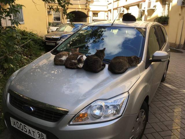 daily picdump 100 pics 28.html - 100 HD Photos | Premium Gallery 2018