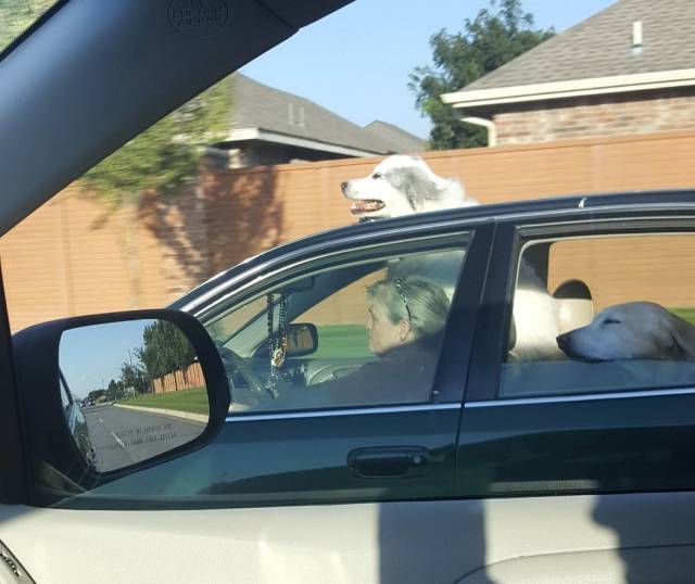 daily picdump 100 pics 28.html - 100 HD Photos | Premium Gallery 2018