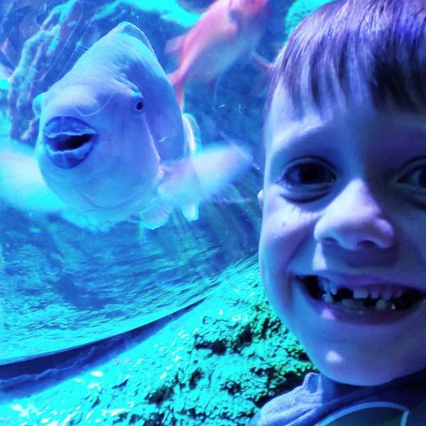 daily picdump 100 pics 28.html - 100 HD Photos | Premium Gallery 2018