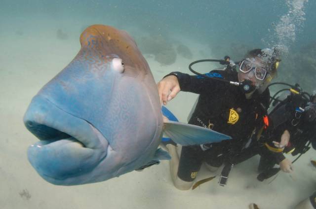 daily picdump 100 pics 28.html - 100 HD Photos | Premium Gallery 2018