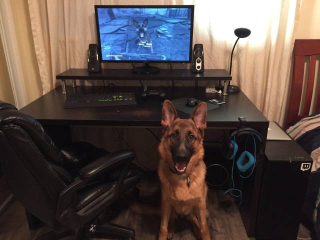 daily picdump 100 pics 28.html - 100 HD Photos | Premium Gallery 2018