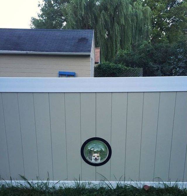 daily picdump 100 pics 28.html - 100 HD Photos | Premium Gallery 2018