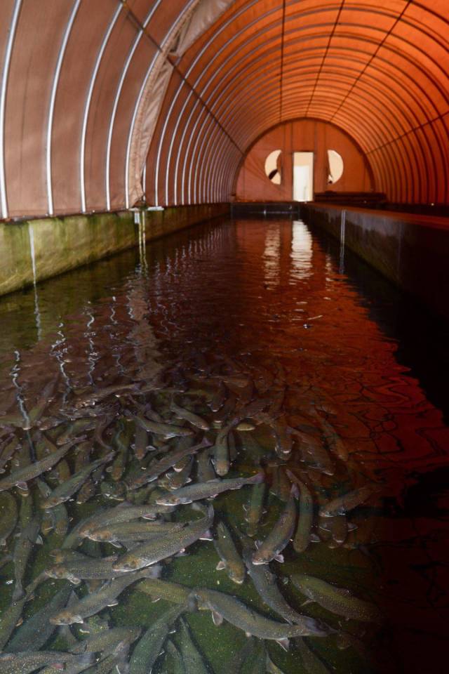 daily picdump 100 pics 28.html - 100 HD Photos | Premium Gallery 2018