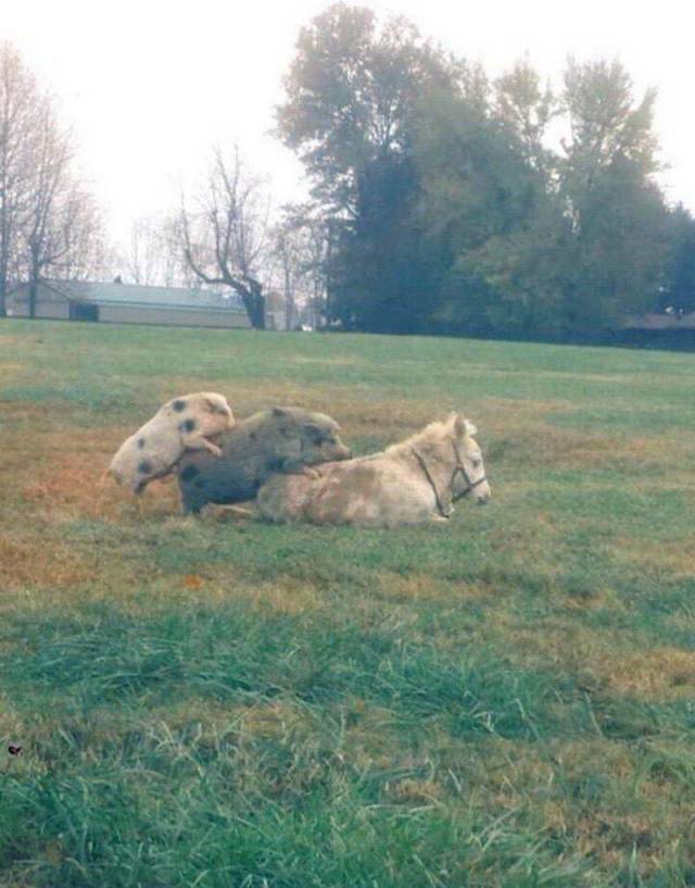 daily picdump 100 pics 28.html - 100 HD Photos | Premium Gallery 2018