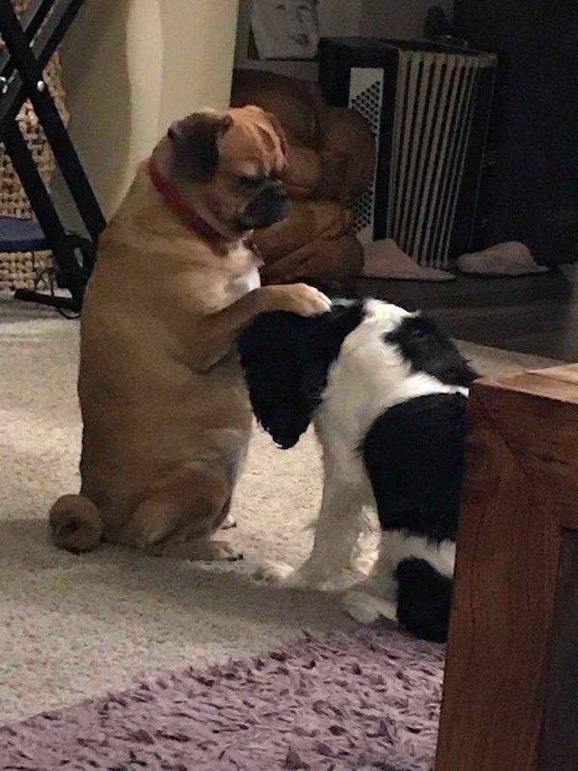 daily picdump 100 pics 28.html - 100 HD Photos | Premium Gallery 2018