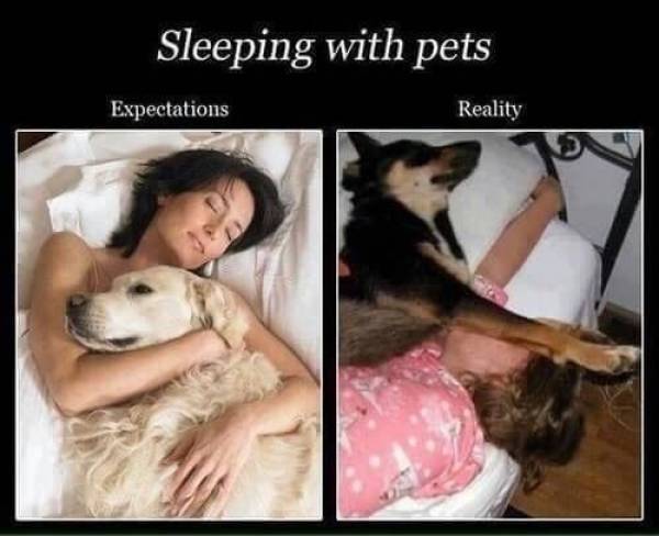Funny Picdump