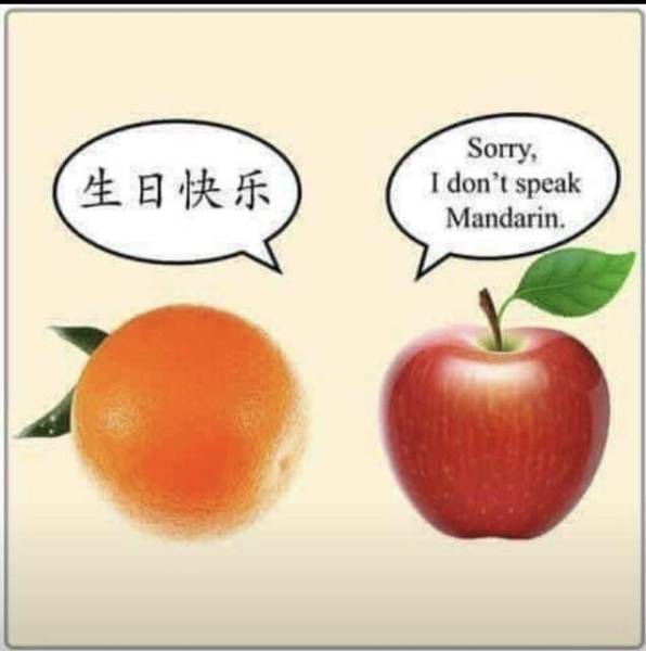Funny Picdump