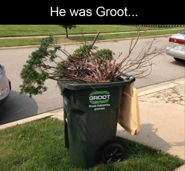 funny picdump 51 pics 9.html - 51 HD Photos | Premium Gallery 2018