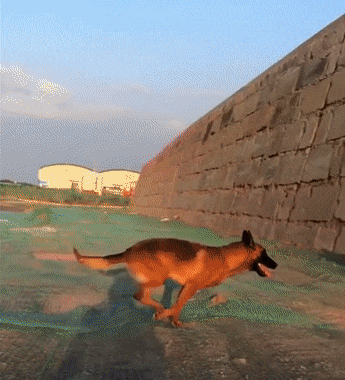 Fantastic GIFs Showing Things We Don’t See Every Day