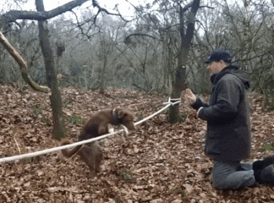 Fantastic GIFs Showing Things We Don’t See Every Day