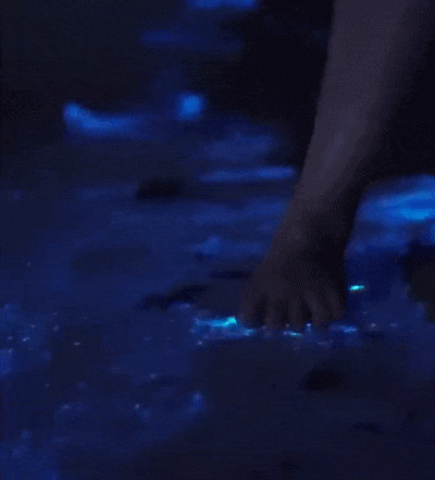 Fantastic GIFs Showing Things We Don’t See Every Day