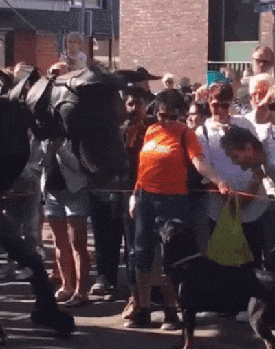 Fantastic GIFs Showing Things We Don’t See Every Day