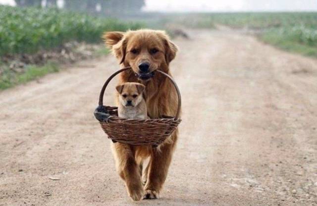 daily picdump 93 pics 36.html - 93 HD Photos | Premium Gallery 2018